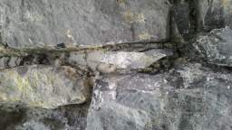 acastle
                          110560.jpg